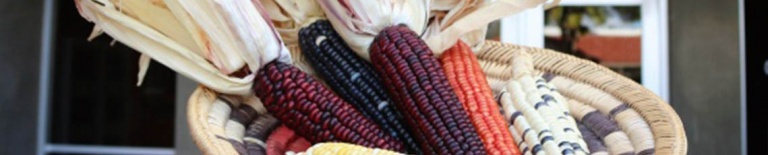different variations of corn in a basket